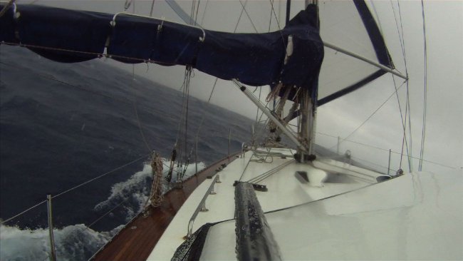 files/tigersnail/content/images/10-11-25Squall01.jpg
