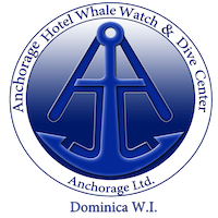 Logo Anchorage Hotel Whale Watch and Dive Center