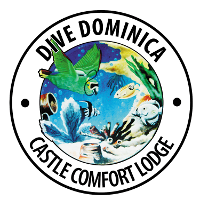 Logo Dive Dominica
